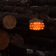 Foxfire FLLK Logger Lite Kit, Amber